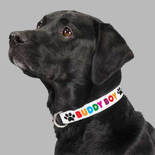Dog Collar Copy Centre Coffs Harbour