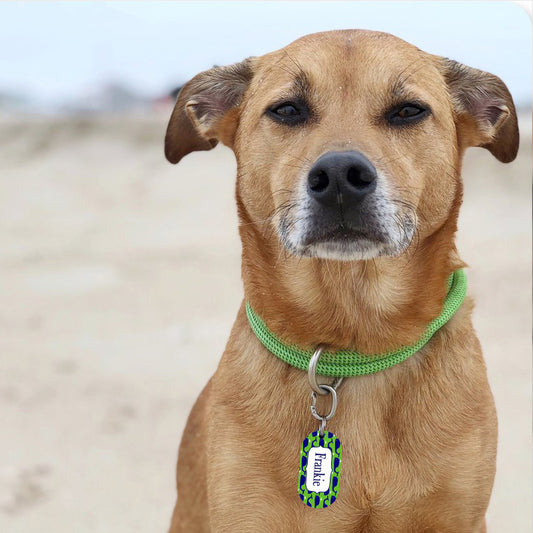 Dog Tag Copy Centre Coffs Harbour